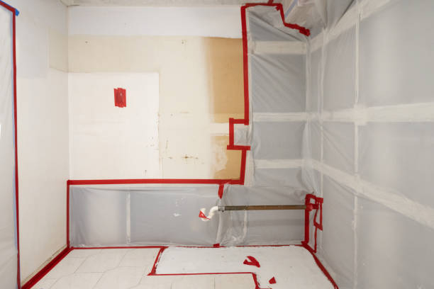 Best Mold Remediation for Healthcare Facilities  in Rodeo, CA