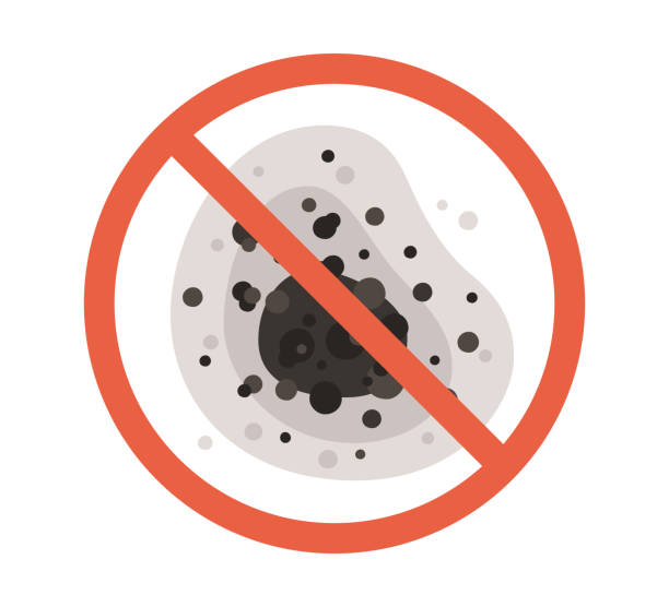 Best Dehumidification Services  in Rodeo, CA