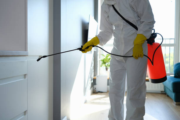 Best Airborne Mold Testing  in Rodeo, CA