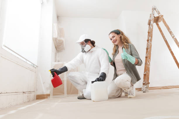 Reliable Rodeo, CA Mold Removal Solutions